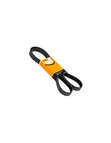 CORREA POLY-V 6PK0762 ELASTICA