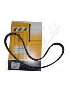 CORREA POLY-V 5PK0878 ELASTICA