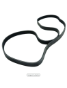 CORREA MULTI-RIB DAYCO (4PK0862)