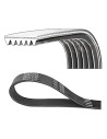 CORREA MULTI-RIB DAYCO (6PK1725)