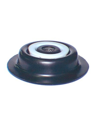 BASE ESPIRAL