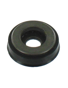 BASE ESPIRAL
