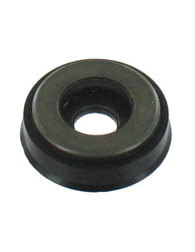 BASE ESPIRAL