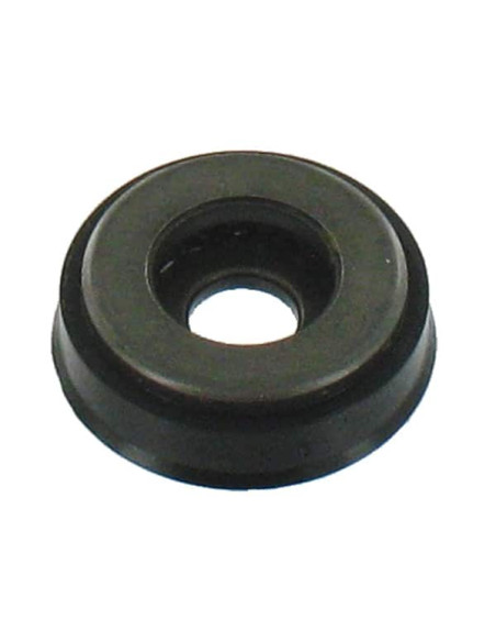 BASE ESPIRAL