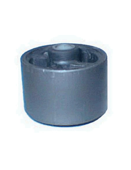 BUJE DE SOPORTE MOTOR