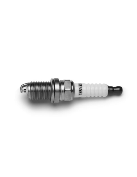 BUJIA ENC.(10-K6RF)