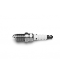 BUJIA ENC.(10-K5RF)