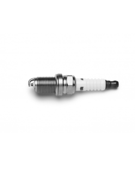 BUJIA ENC.(10-K5RF)