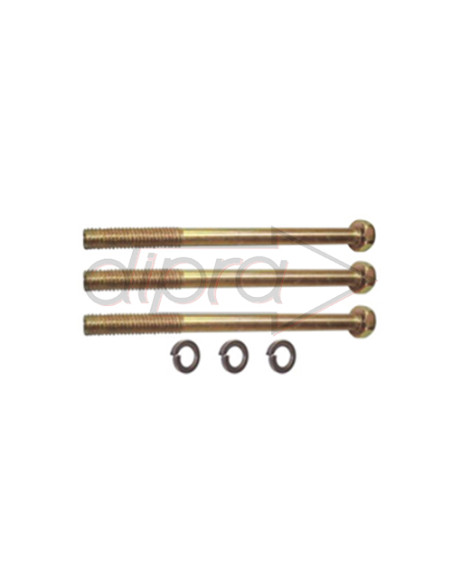 TORNILLO SUJECION ALT.MARELLI