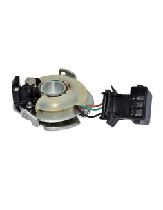 FORD ESCORT / ORION / VW POINTER SIN AVANCE INYECCION