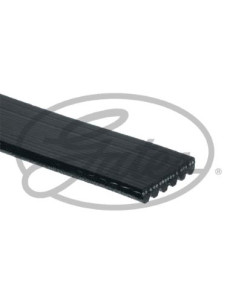 CORREA EN MICRO-V 2