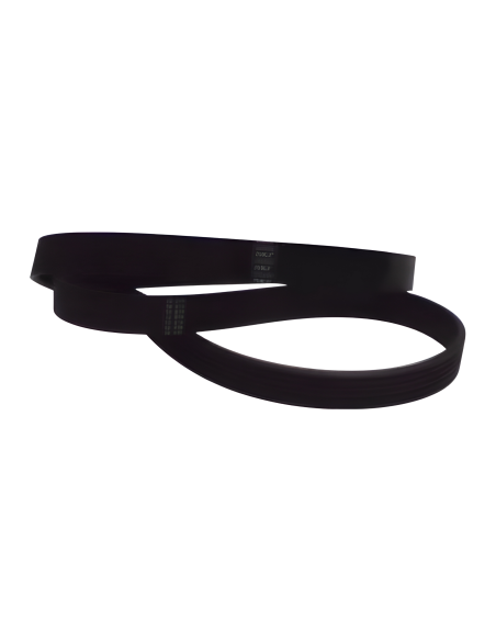 CORREA SKF POLY V