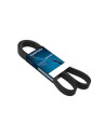 CORREA POLIV DE ACCESORIOS
