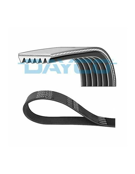 CORREA ALT.(6PK1224)1.4 FIO.CITY