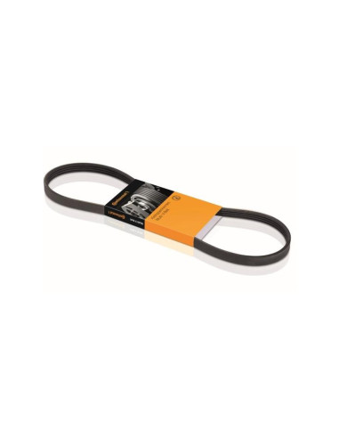 CORREA POLIV DE ACCESORIOS