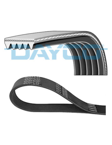 CORREA POLIV DE ACCESORIOS