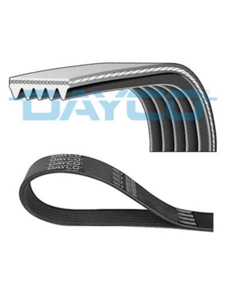 CORREA POLIV DE ACCESORIOS