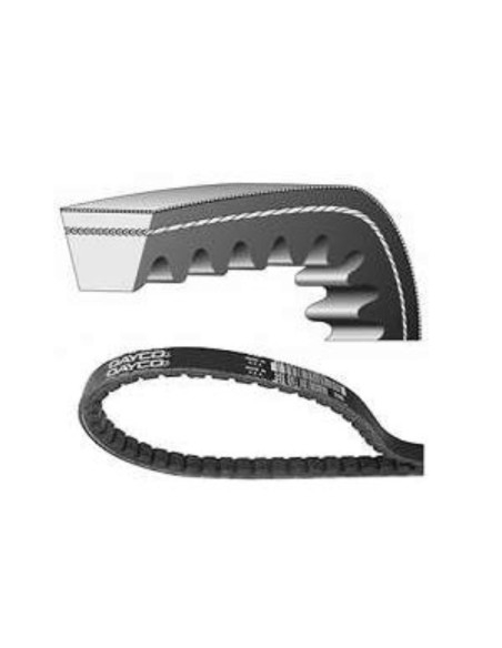 CORREA 13A1175C