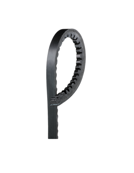 CORREA TRAPEZOIDAL DE ACCESORIOS 6222