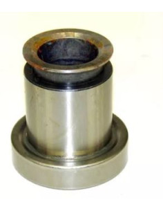 CRAPODINA FORD