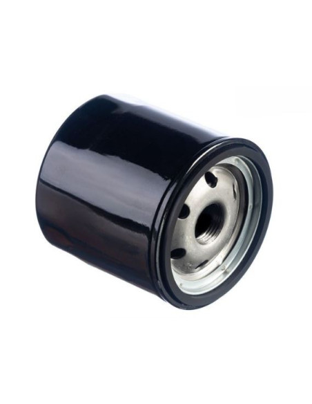 FILTRO DE ACEITE DE MOTOR