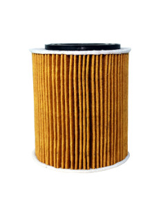 FILTRO DE ACEITE 2