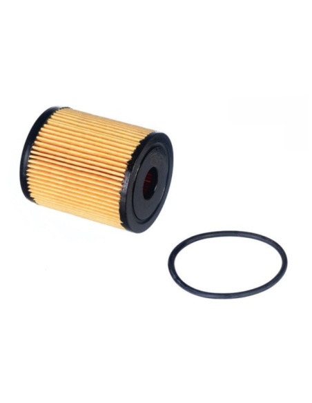FILTRO DE ACEITE DE MOTOR
