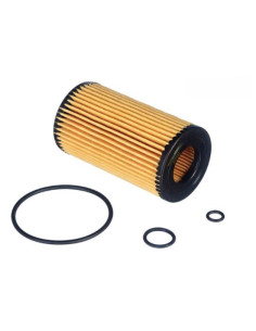 FILTRO DE ACEITE DE MOTOR 2