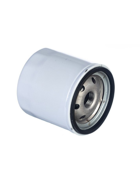 FILTRO DE ACEITE DE MOTOR