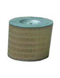 FILTRO AIRE TECFIL (AP1011)