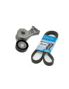 **KIT POLY V SKF(VKMA31204)BORA/GOLF1.8