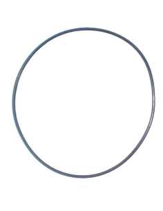 O'RING BBA INYECTORA XD2/3   GS*