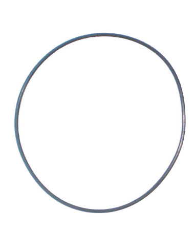 O'RING BBA INYECTORA XD2/3   GS*