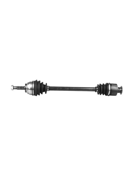 SEMIEJE