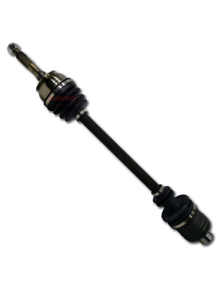 REN. R12