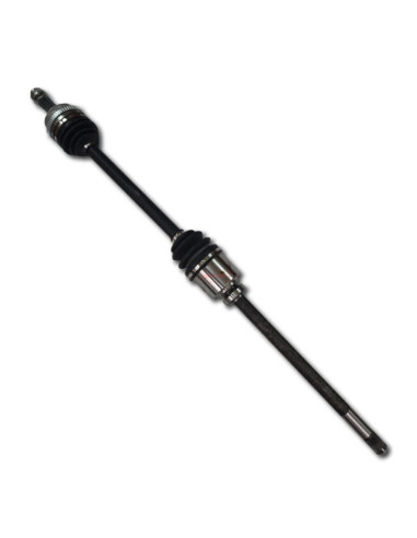 REN. MASTER