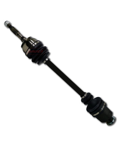 REN. R12