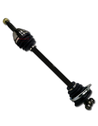 REN. R11