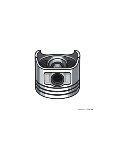 SUBCONJUNTO DE MOTOR