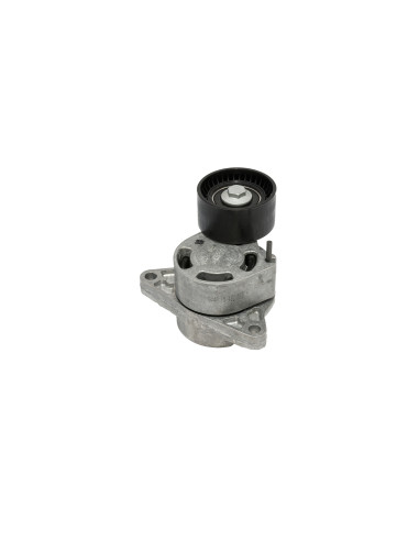 TENSOR CORREA DE ACCESORIOS