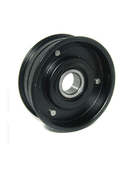 TENSOR ACC.T36147 (POLEA)