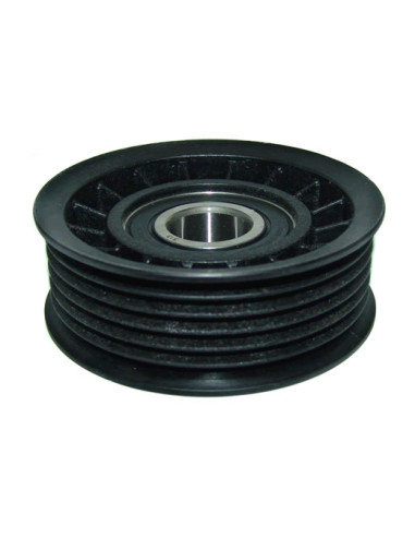 TENSOR ACC.T36146 (POLEA)