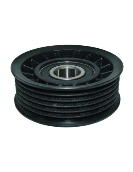 TENSOR ACC.T36146 (POLEA)