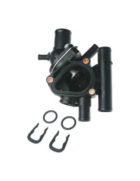 CARCAZA C/TERM.CLIO/R19 NAF.(T130) SCH