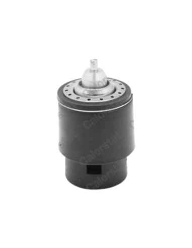 TERMOSTATO AUDI, SEAT, VW
