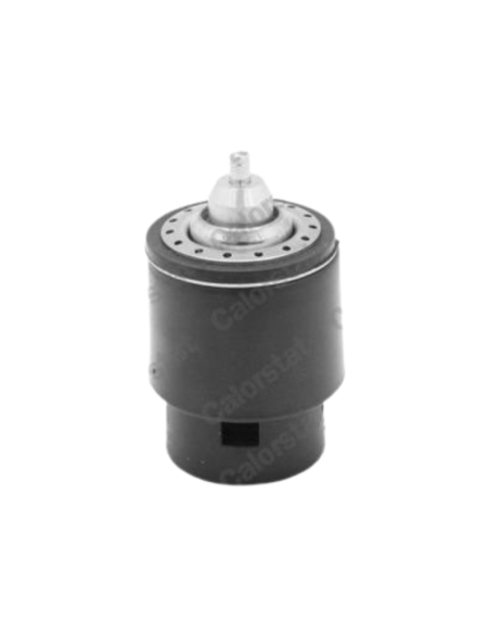 TERMOSTATO AUDI, SEAT, VW