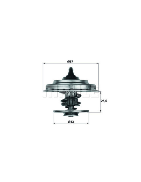 TERMOSTATO MAHLE TX 18 79D