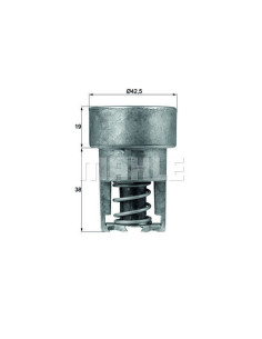TERMOSTATO MAHLE  TX 98 82