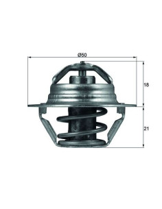 TERMOSTATO MAHLE  TX 100 89D