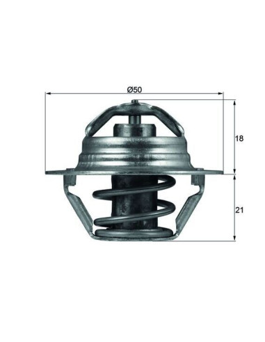 TERMOSTATO MAHLE  TX 100 89D